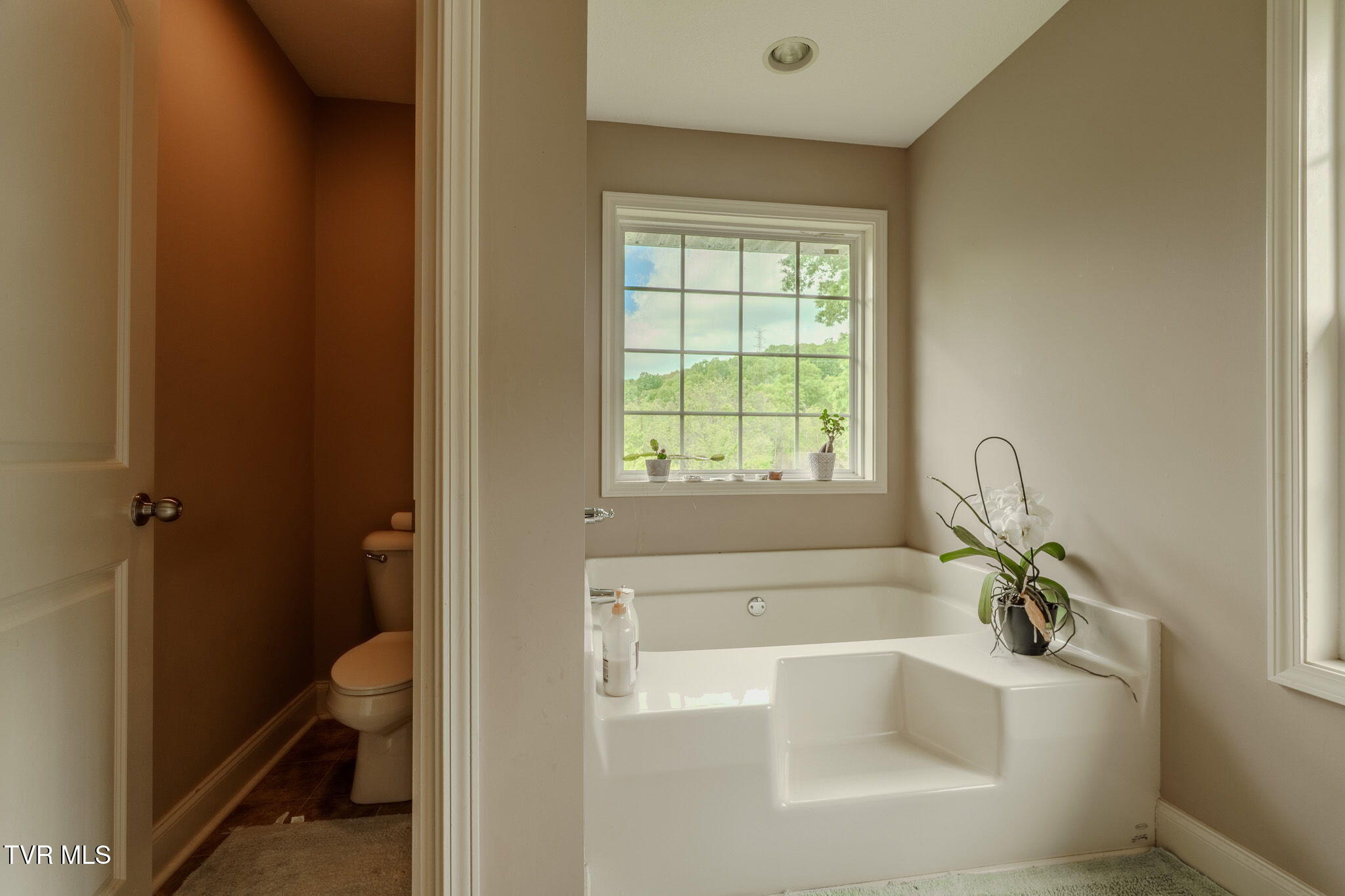 2898 Watauga Road Johnson City, TN 37601 - Photo 29 of 45 18-web-or-mls-_DSC4074-HDR