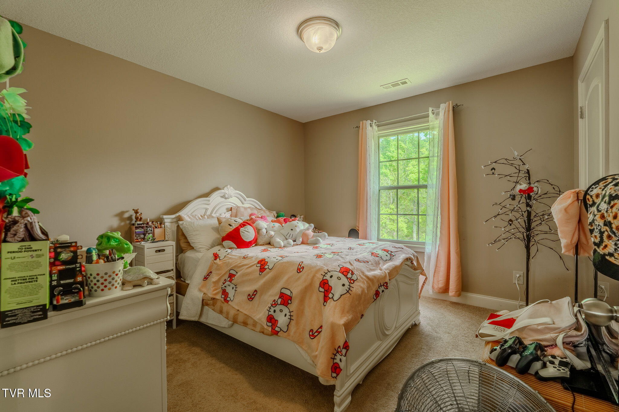 2898 Watauga Road Johnson City, TN 37601 - Photo 31 of 45 9-web-or-mls-_DSC3969-HDR
