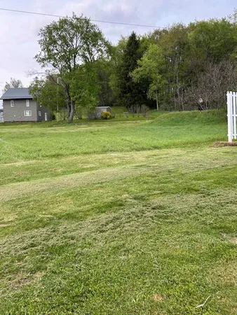 a view of a green field with trees in the background