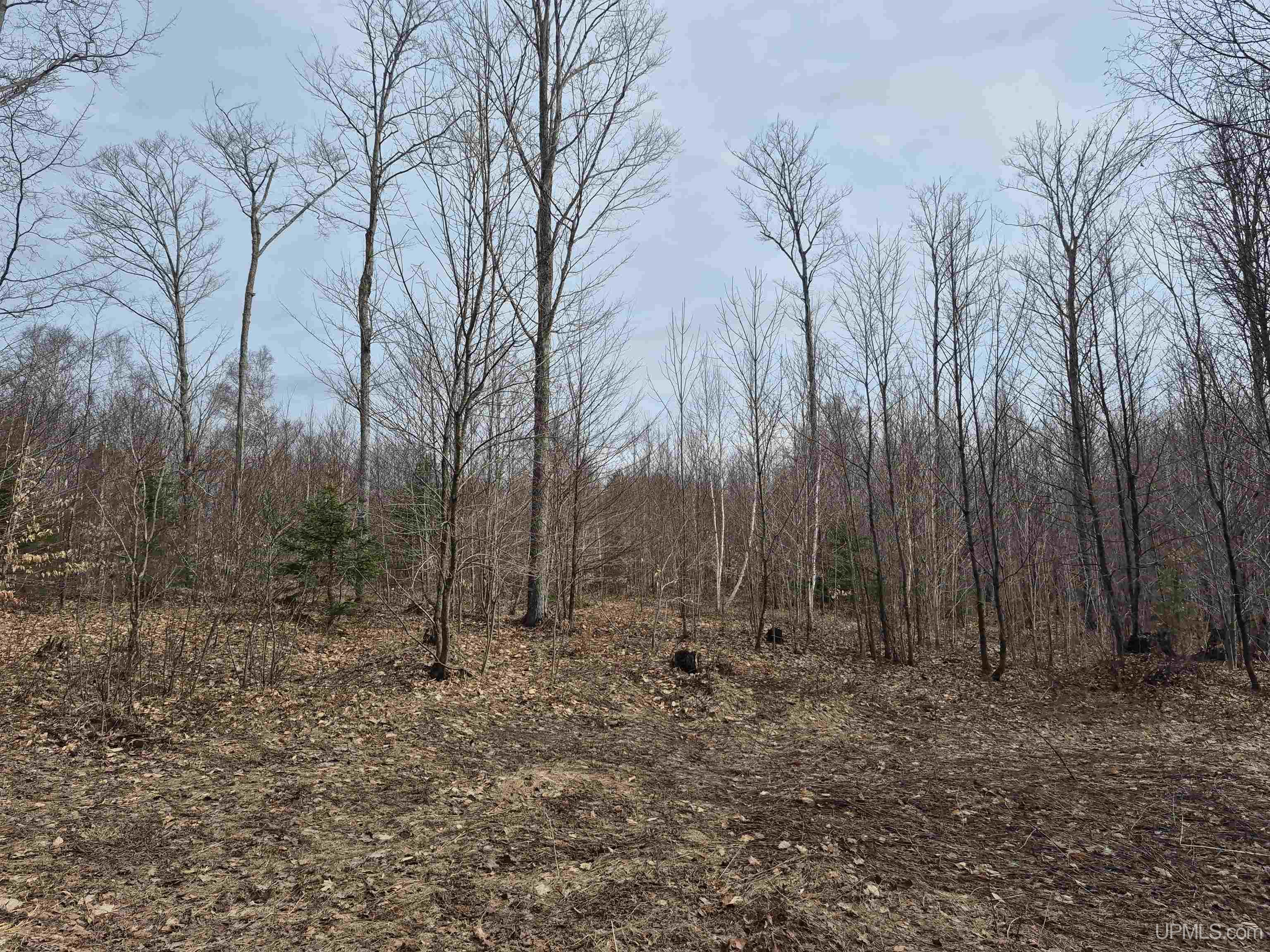 3754 Quarry Road Gulliver, MI 49840 - Photo 27 of 77