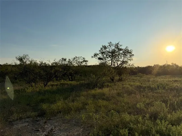 a view of a lake in middle of the forest