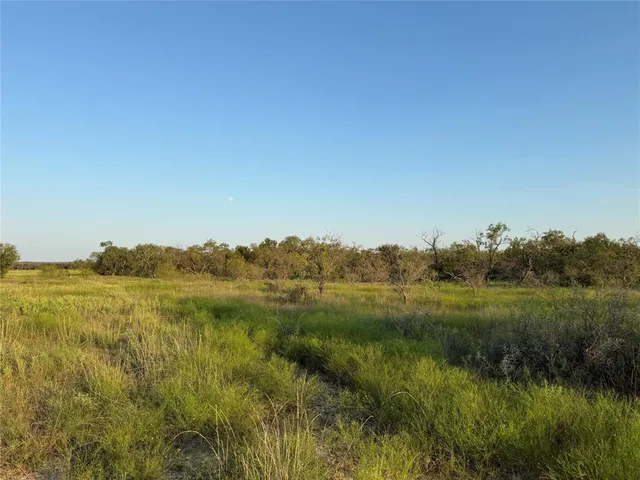 a view of an outdoor space and a yard