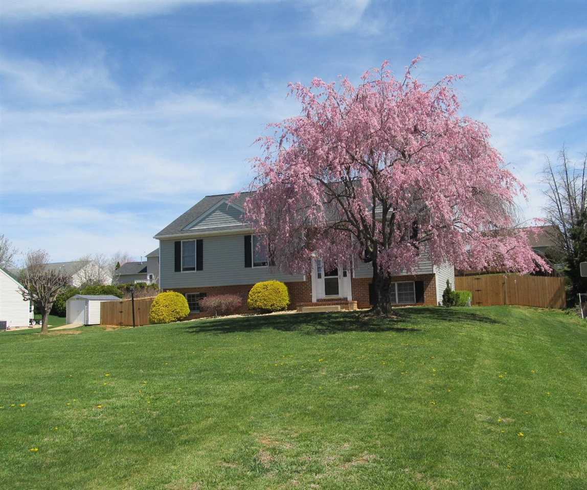 862 Ladd Road Waynesboro, VA 22980 - Photo 3 of 31 a view of a house with a big yard