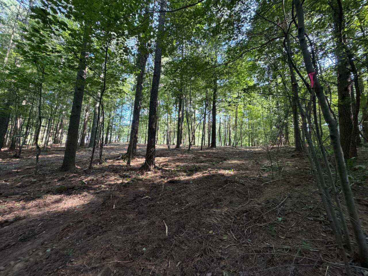 3715 Split Rail Way, Unit 1123 Guild, TN 37340 - Photo 15 of 44 IMG_2552