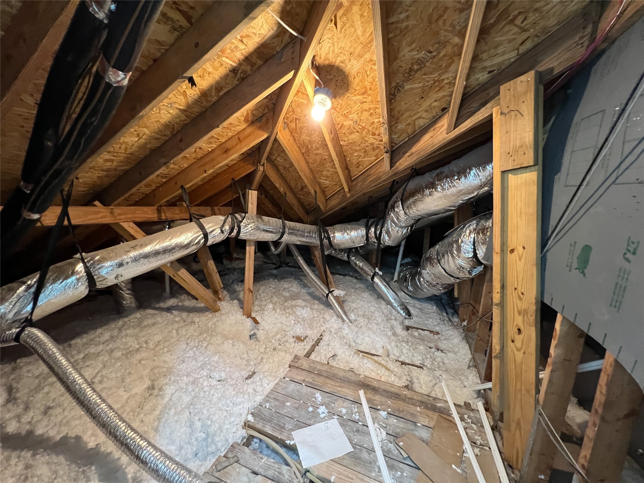 126 Lakeland Circle Rosharon, TX 77583 - Photo 17 of 41 Attic