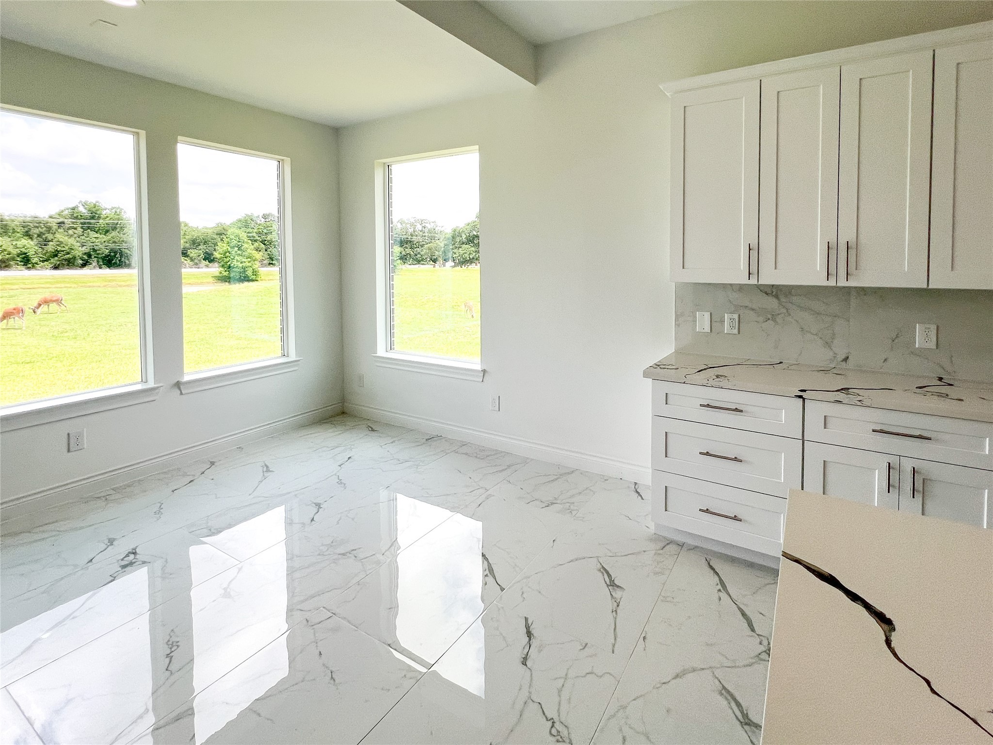 126 Lakeland Circle Rosharon, TX 77583 - Photo 3 of 41 Imagine waking up to this kitchen and sharing with love ones.