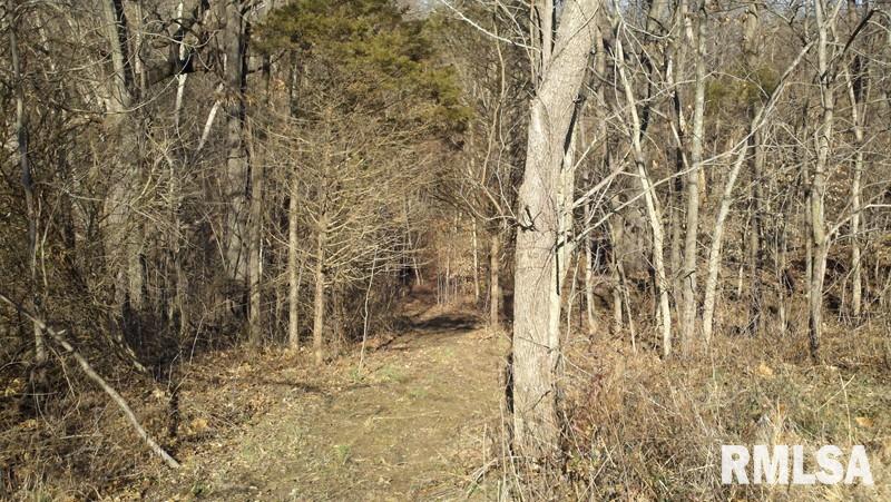 4 Swan Pond Road Dongola, IL 62926 - Photo 1 of 16 Gallery Image 1