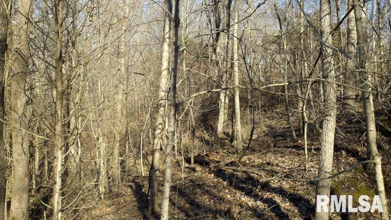 4 Swan Pond Road Dongola, IL 62926 - Photo 14 of 16 Gallery Image 14