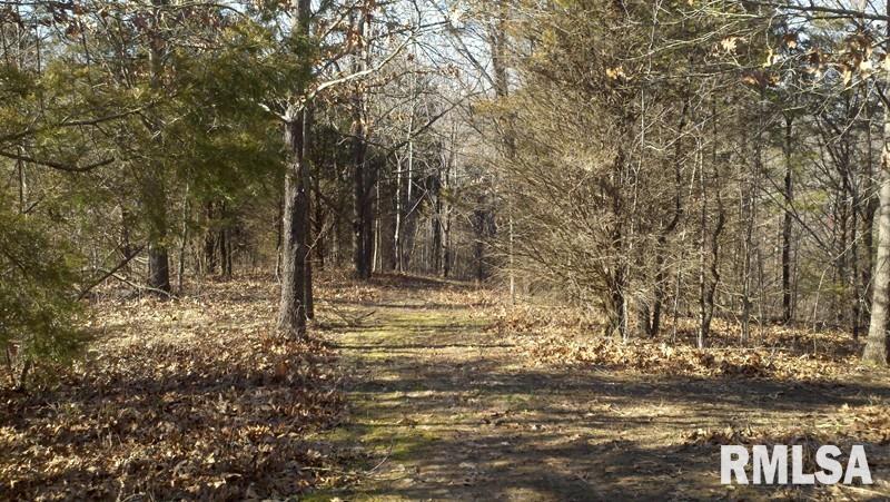 4 Swan Pond Road Dongola, IL 62926 - Photo 3 of 16 Gallery Image 3