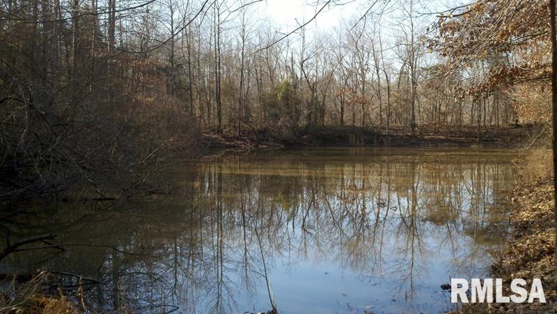 4 Swan Pond Road Dongola, IL 62926 - Photo 9 of 16 Gallery Image 9