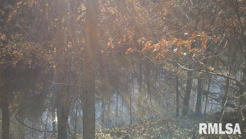 4 Swan Pond Road Dongola, IL 62926 - Photo 10 of 16 Gallery Image 10