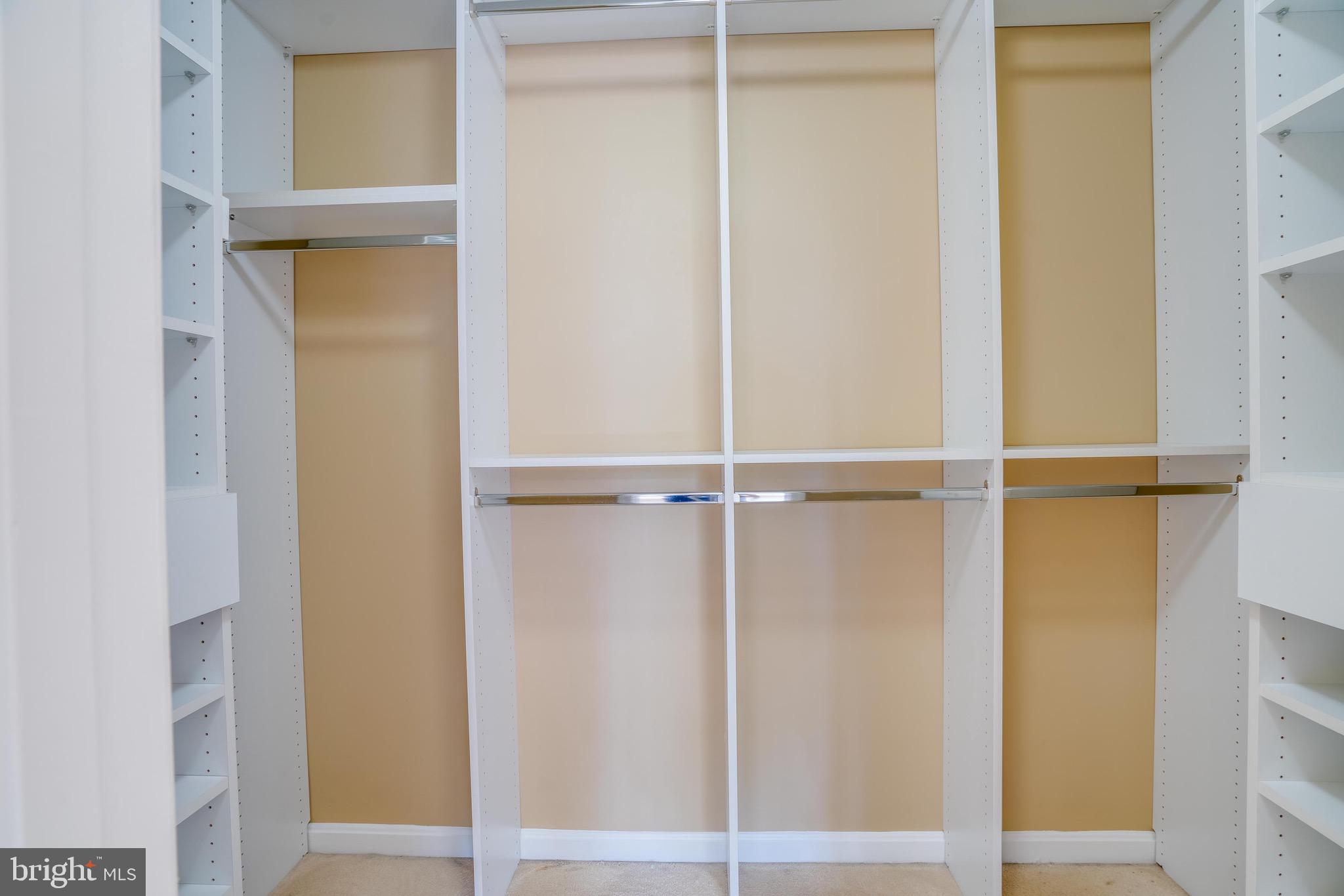 13641 Cedar Run Lane Herndon, VA 20171 - Photo 37 of 56 a view of closet