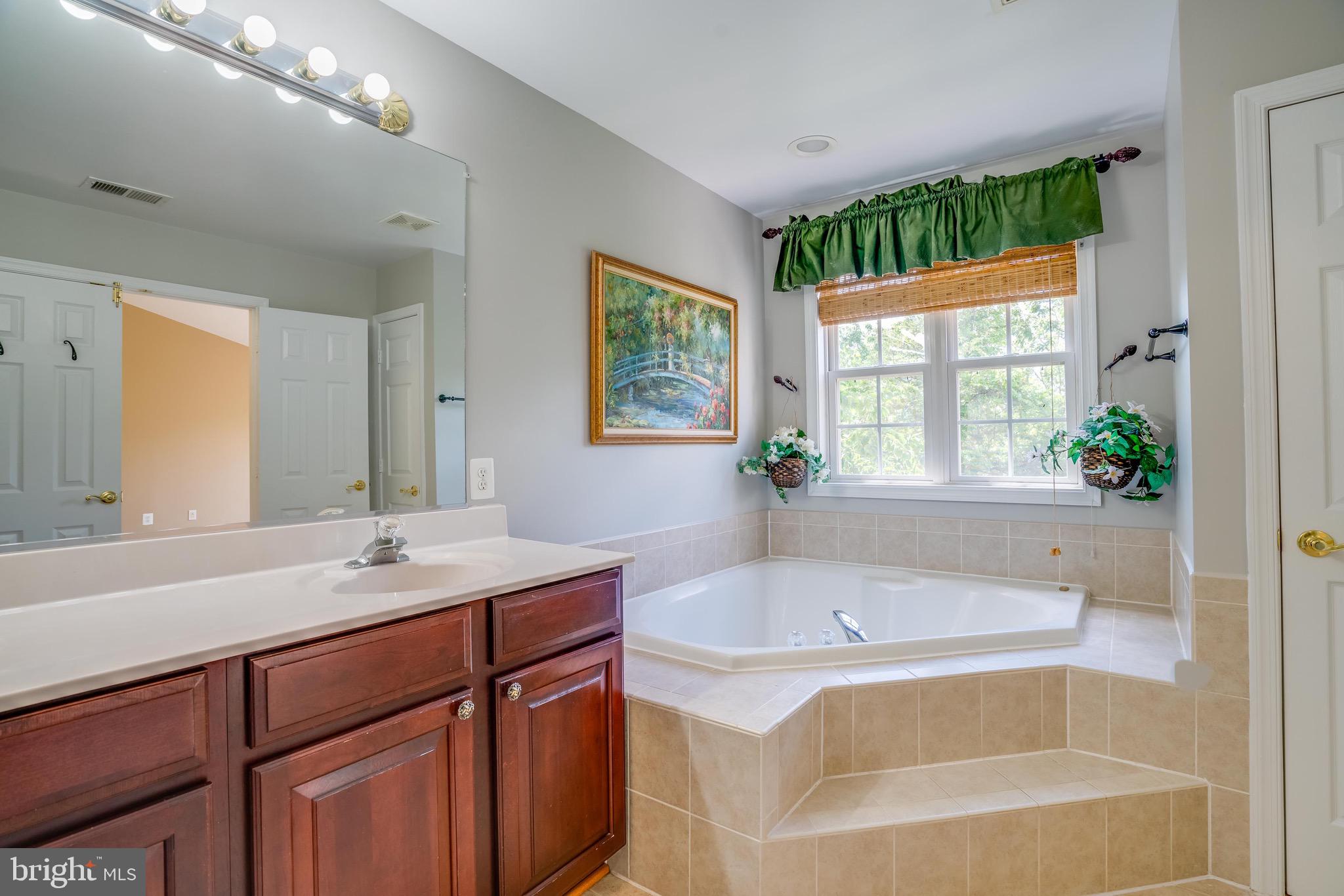 13641 Cedar Run Lane Herndon, VA 20171 - Photo 39 of 56 a bathroom with a tub sink and mirror