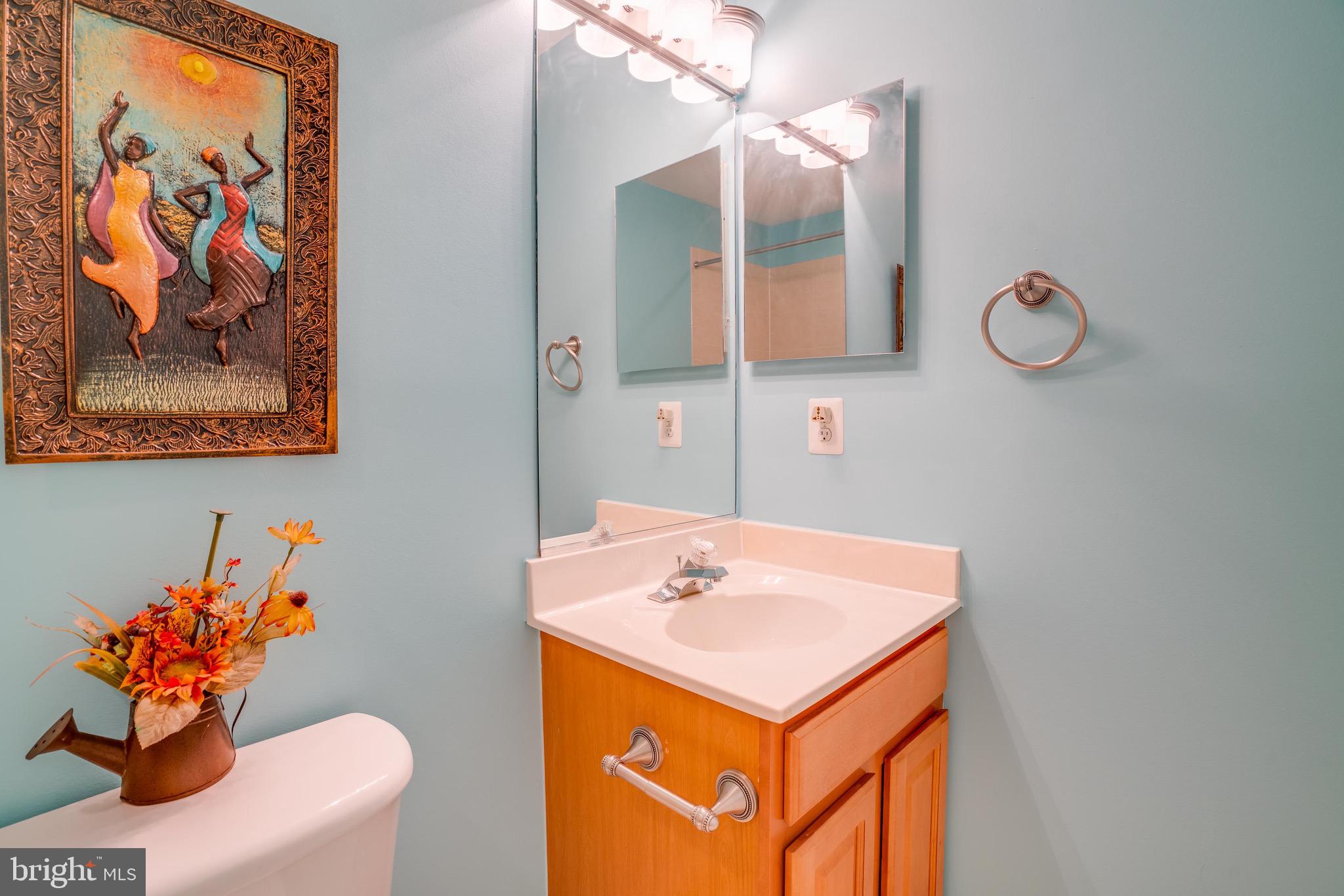 13641 Cedar Run Lane Herndon, VA 20171 - Photo 50 of 56 a bathroom with a sink a mirror and a picture of a bathroom