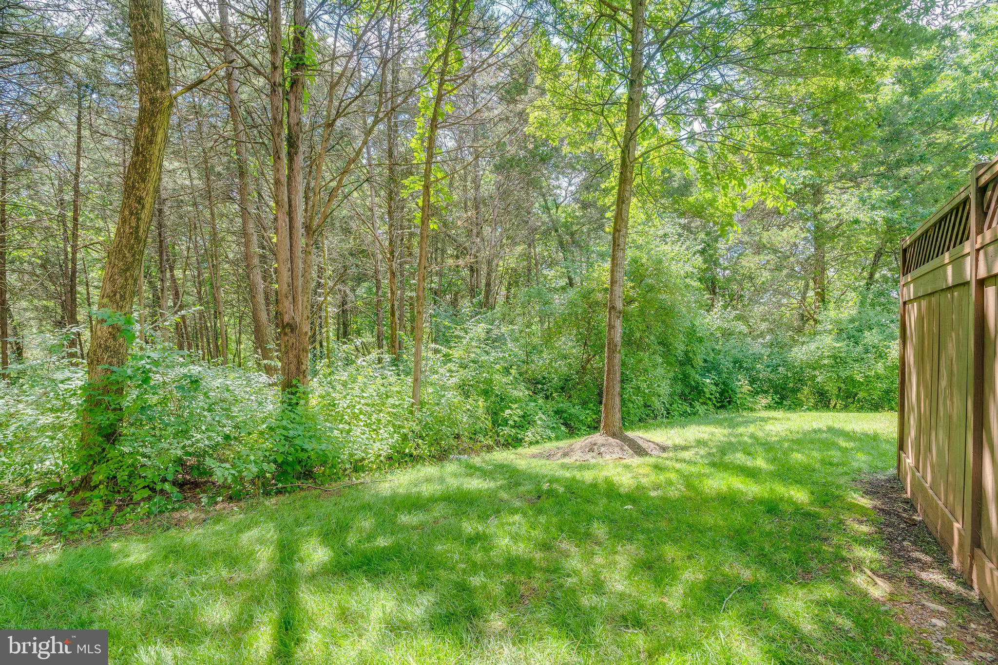 13641 Cedar Run Lane Herndon, VA 20171 - Photo 53 of 56 a big yard with lots of green space and trees
