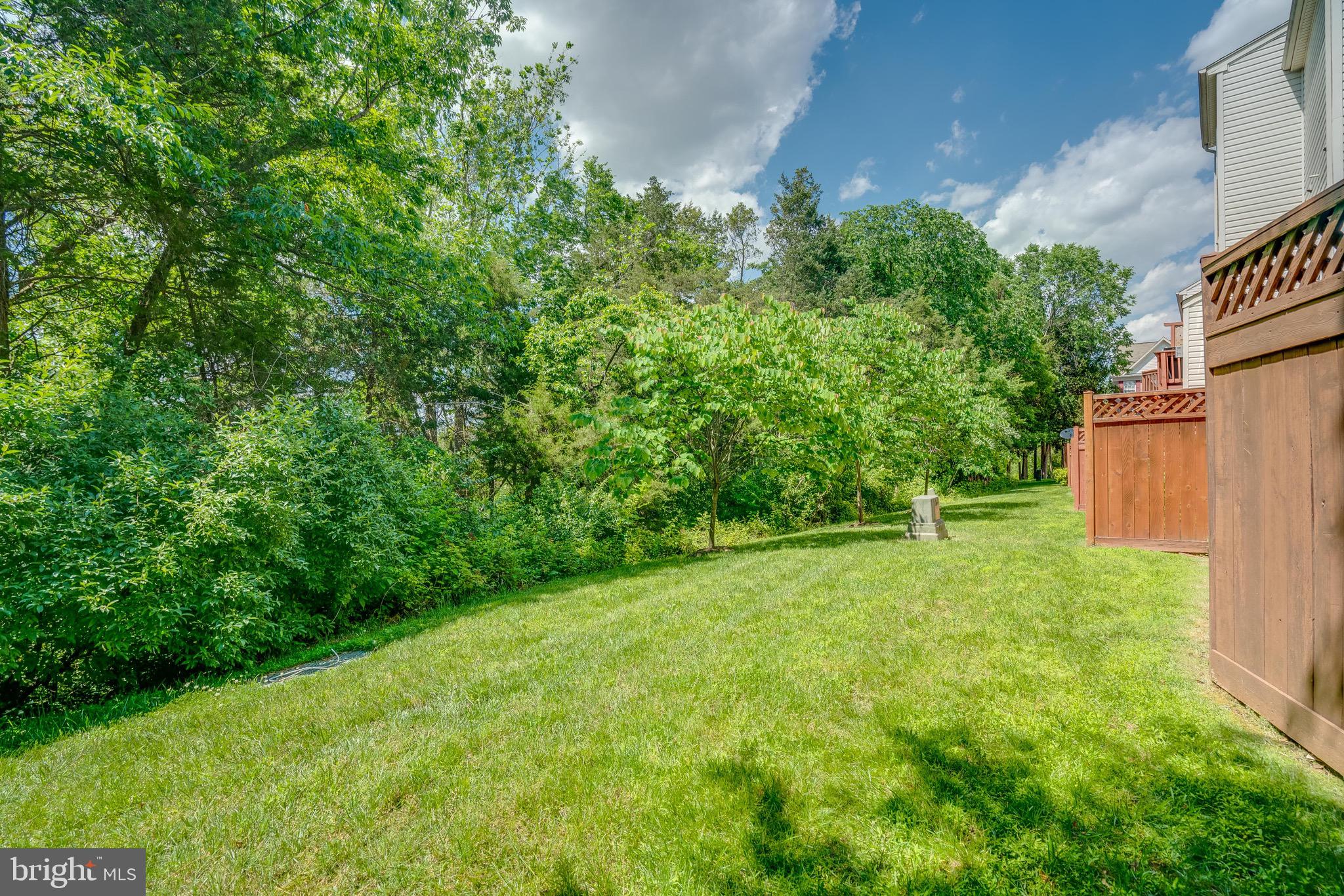 13641 Cedar Run Lane Herndon, VA 20171 - Photo 55 of 56 a backyard of a house with lots of green space