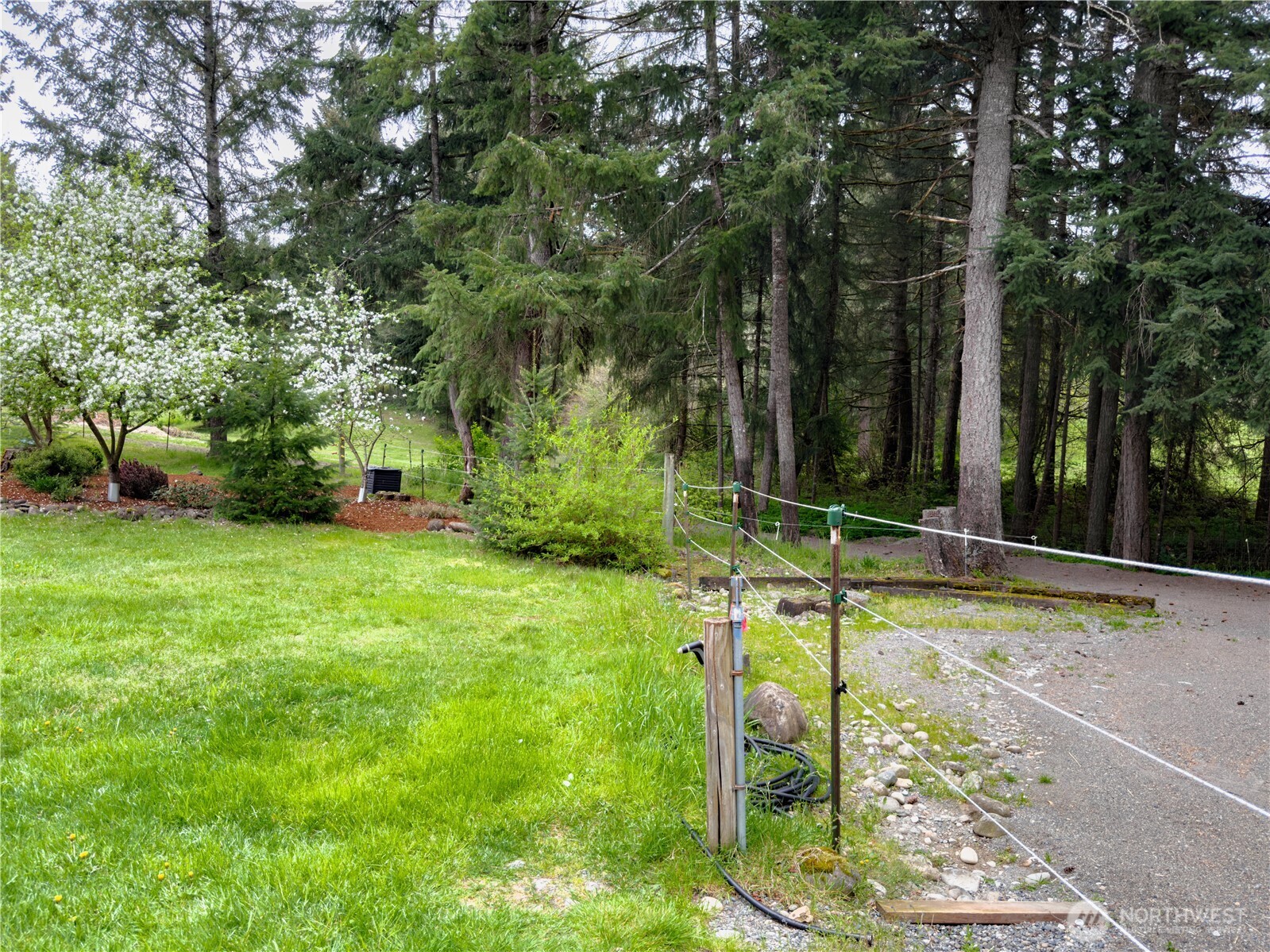 5010 Offut Lake Road Southeast Tenino, WA 98589 - Photo 21 of 33