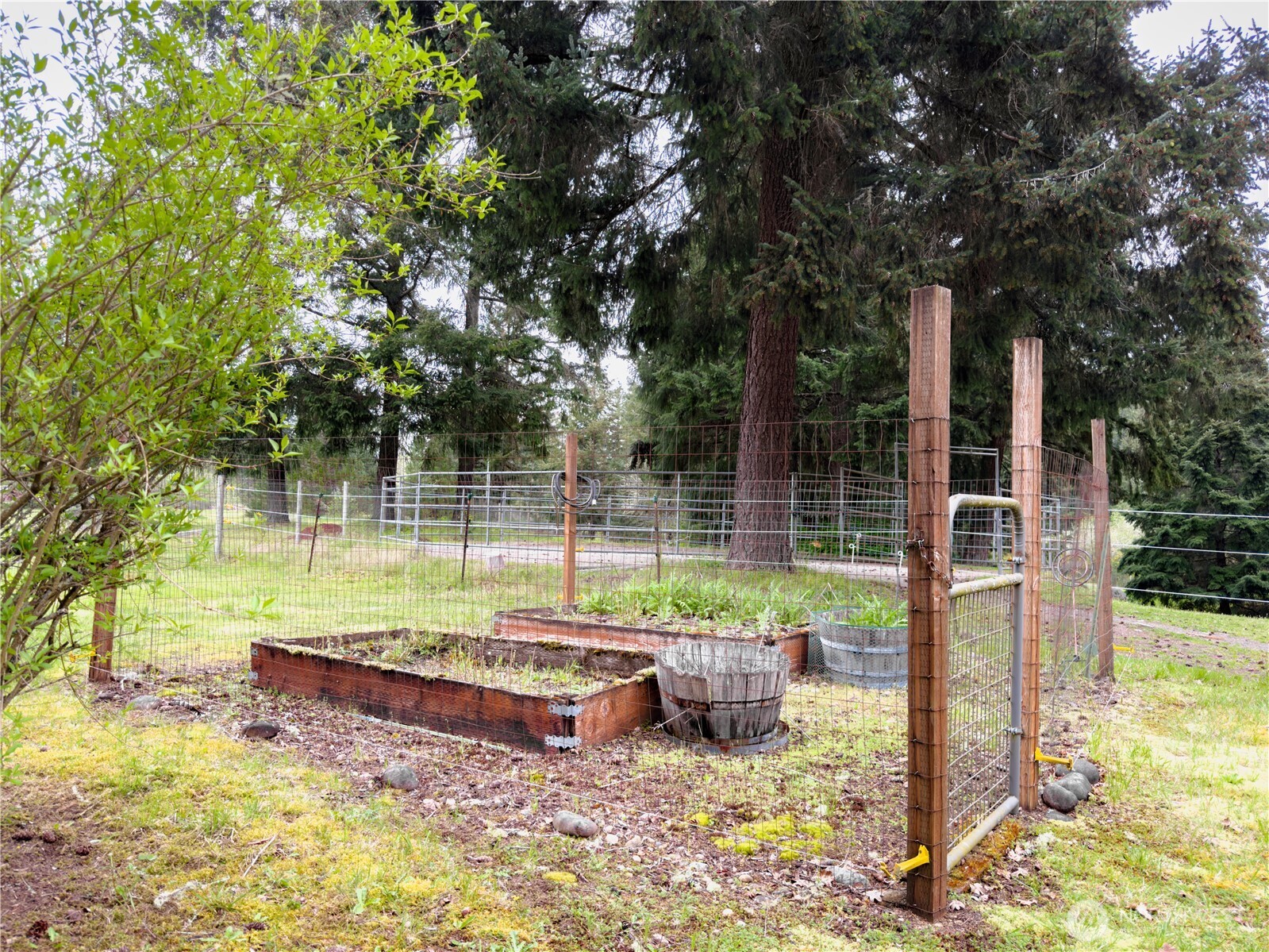 5010 Offut Lake Road Southeast Tenino, WA 98589 - Photo 28 of 33