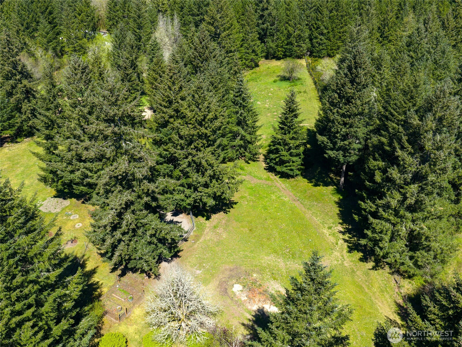 5010 Offut Lake Road Southeast Tenino, WA 98589 - Photo 32 of 33