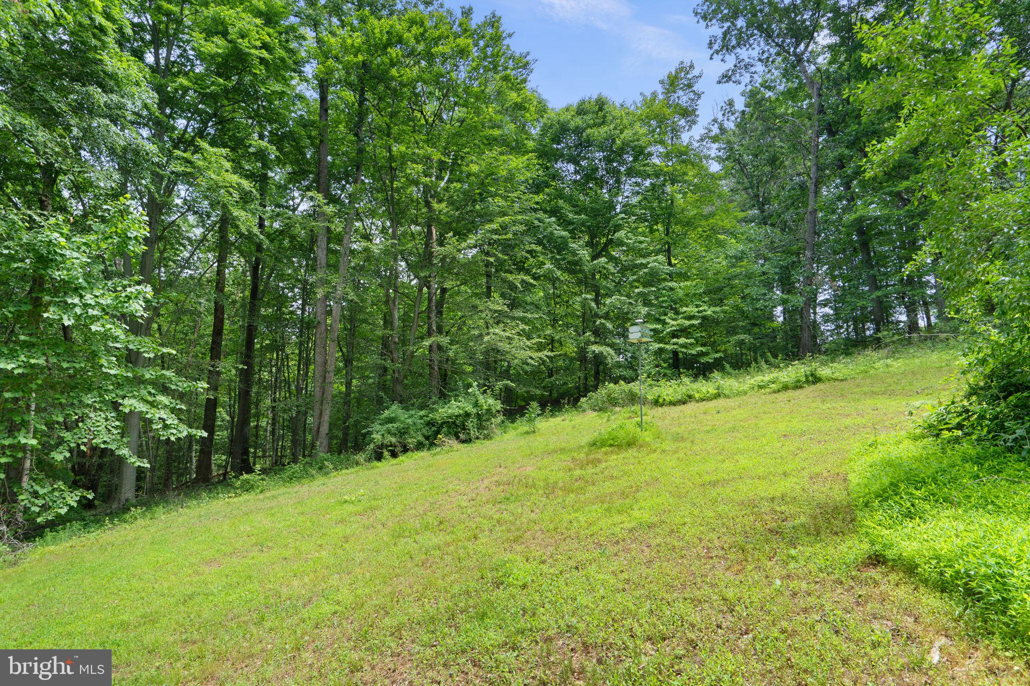 18429 Woodburn Road Leesburg, VA 20175 - Photo 80 of 82