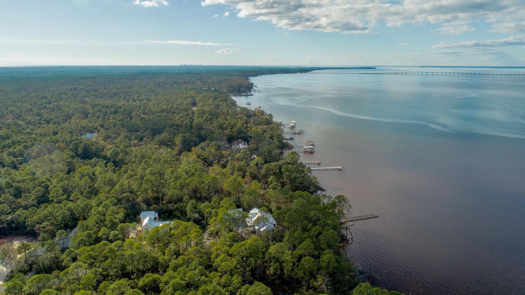 Lot 5-6 Native Tree Lane Santa Rosa Beach, FL 32459 - Photo 1 of 1 a view of a lake in middle of forest