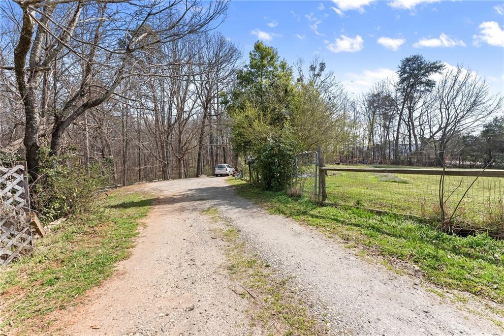 111 Skitts Mountain Road Cleveland, GA 30528 - Photo 47 of 60 a view of a yard with a tree
