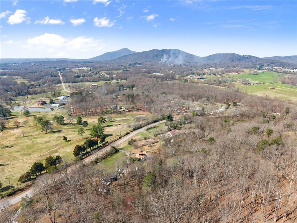111 Skitts Mountain Road Cleveland, GA 30528 - Photo 56 of 60 a view of a city with mountains in the background