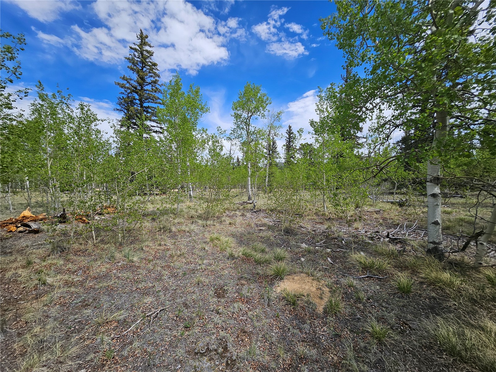 412 Smith And Wesson Road Como, CO 80432 - Photo 15 of 50