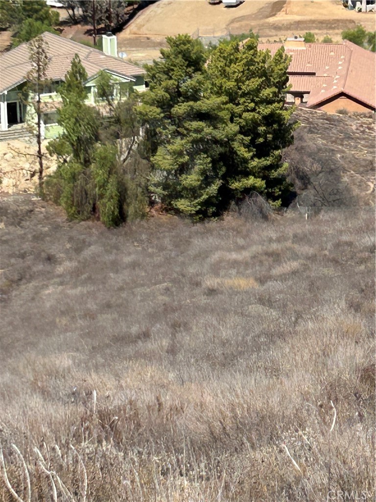 20755 Bentley Drive Perris, CA 92570 - Photo 21 of 21 a view of a yard with plants and a bench