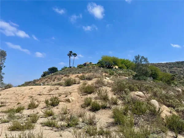 a view of a large yard