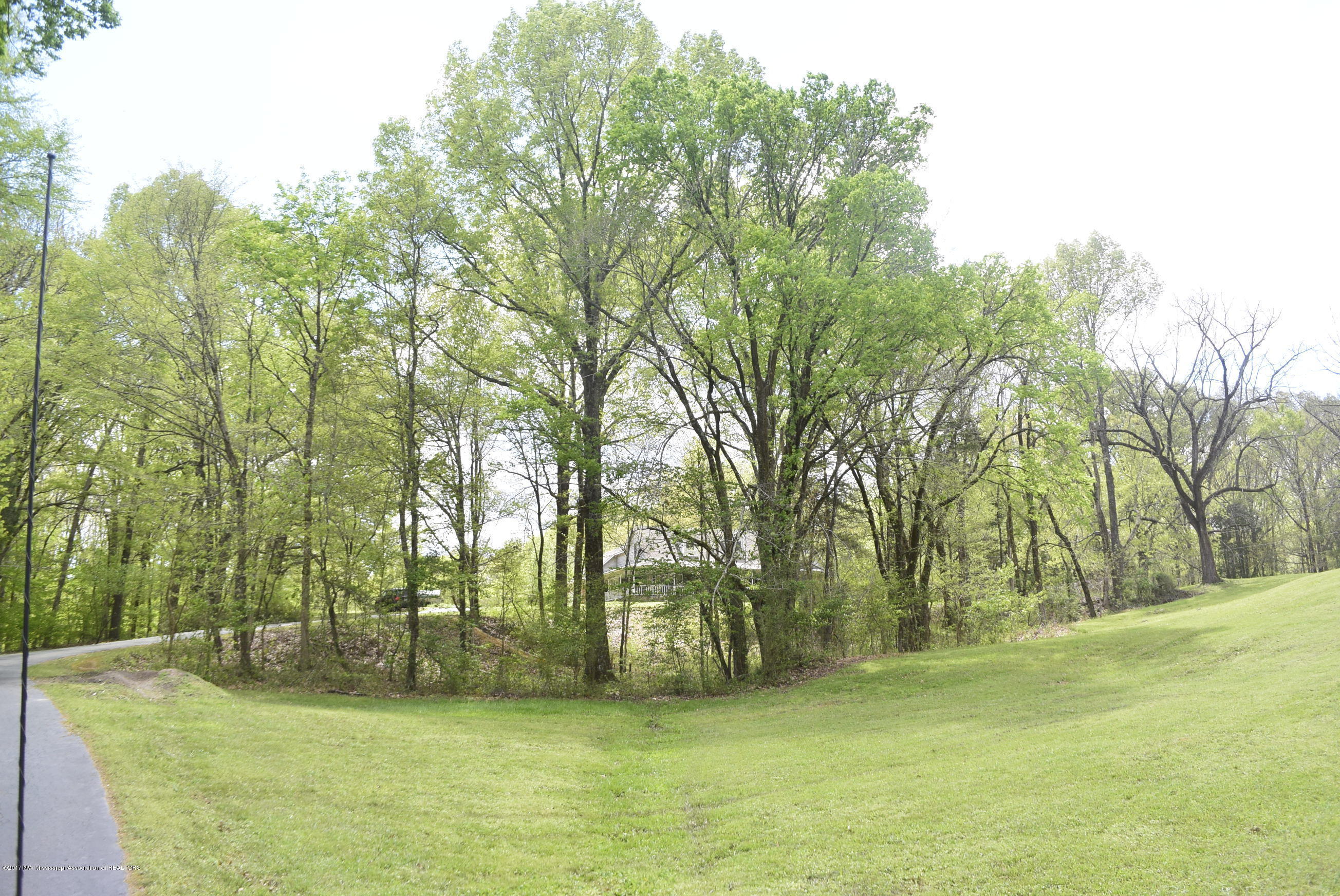 2661 Slocum Road Hernando, MS 38632 - Photo 31 of 32 _DSC6940