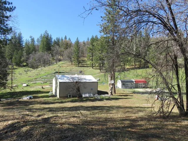 a view of a town with large trees