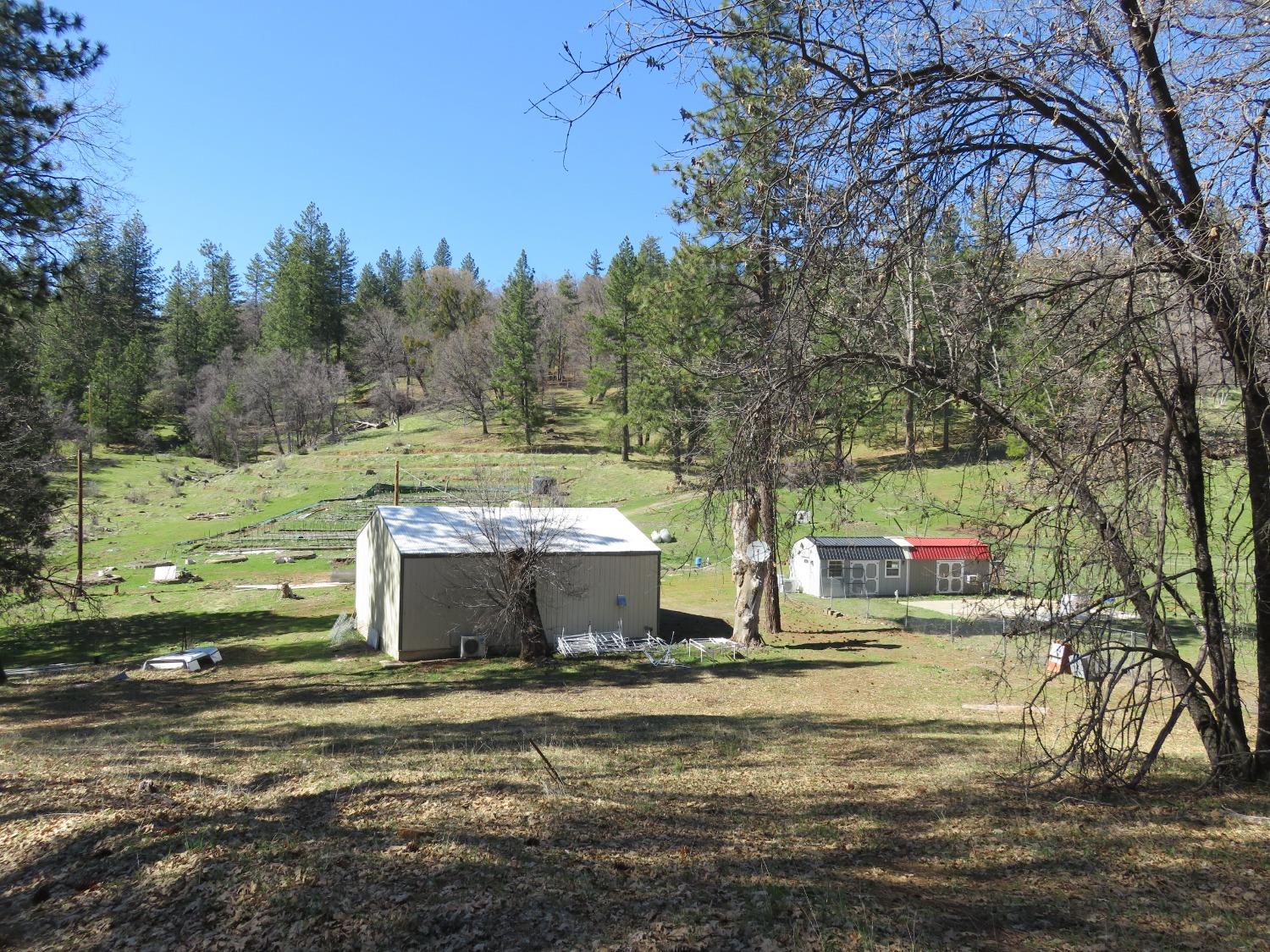 a view of a town with large trees