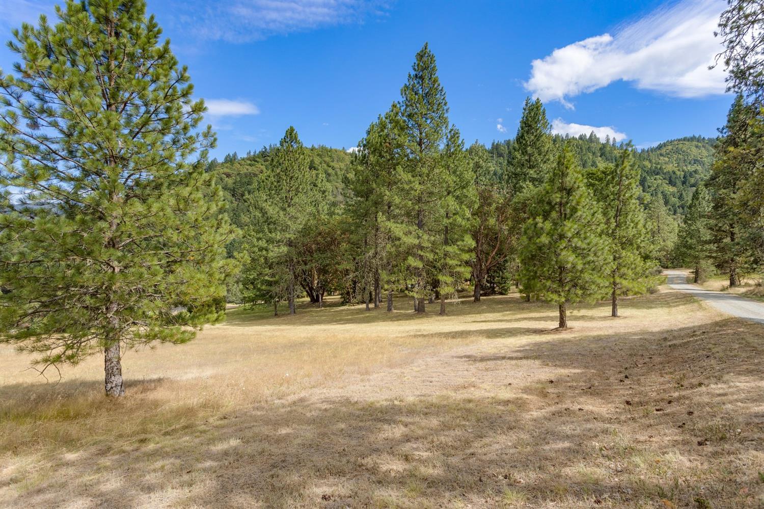 600 Schiefflin Gulch Road Gold Hill, OR 97525 - Photo 26 of 35 Additional Photo