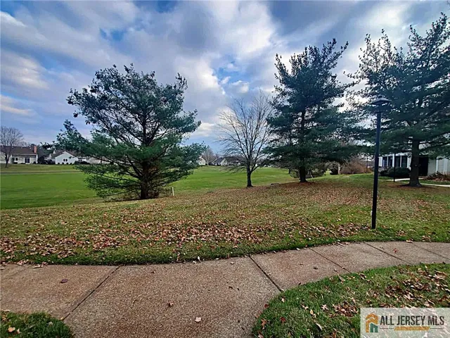 a view of a park with tree s