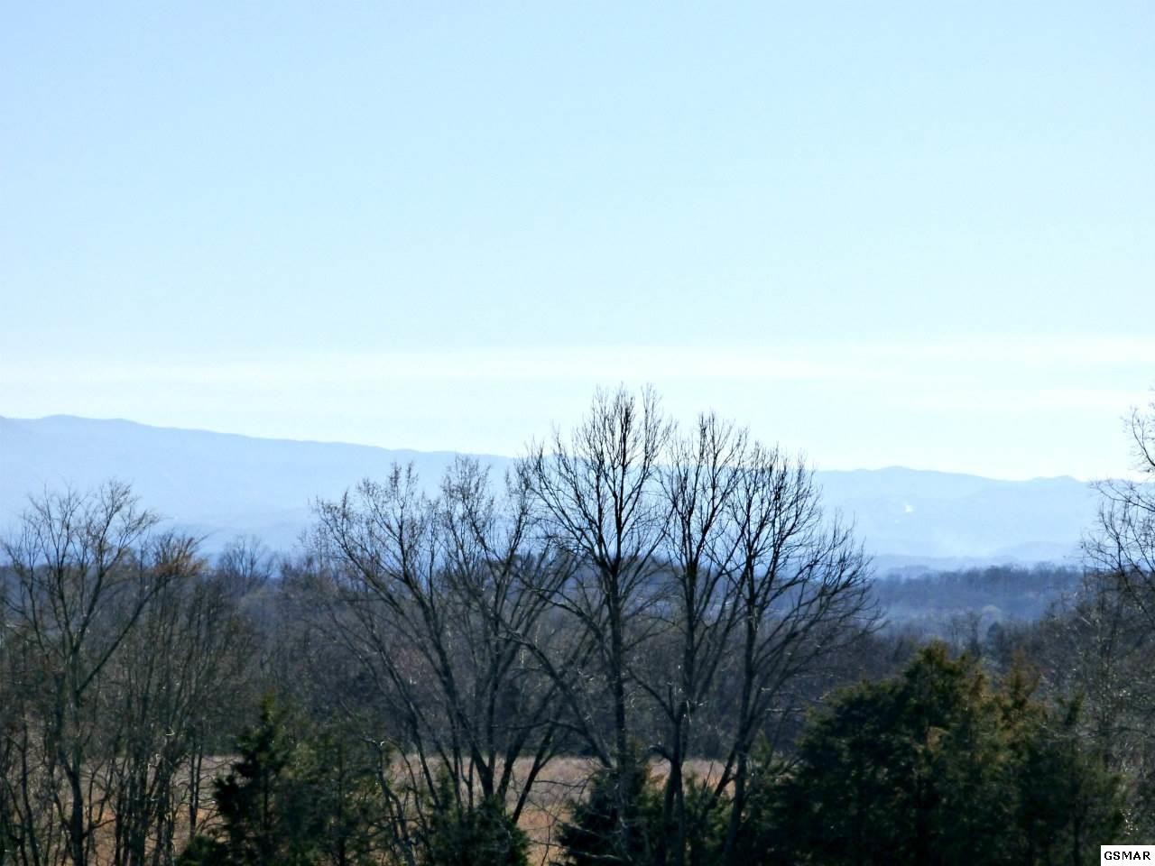 4 Valley Home Road Dandridge, TN 37725 - Photo 5 of 30 Gallery Image 5