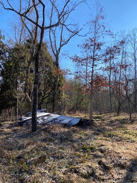 142 Cole Road Deer Lodge, TN 37726 - Photo 67 of 77 20220322195800601165000000-o