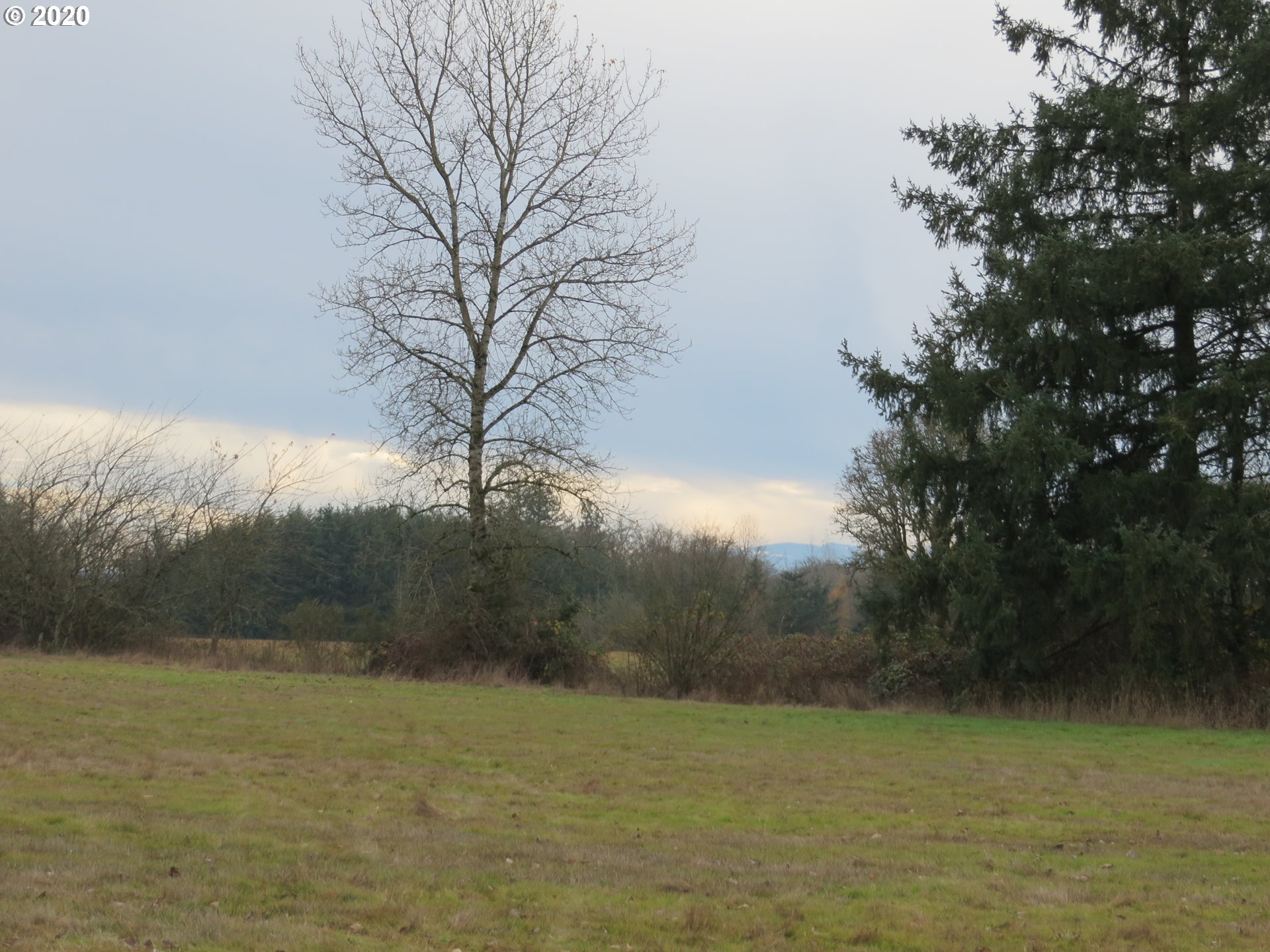 9384 Golf Club Road Southeast Aumsville, OR 97325 - Photo 5 of 12