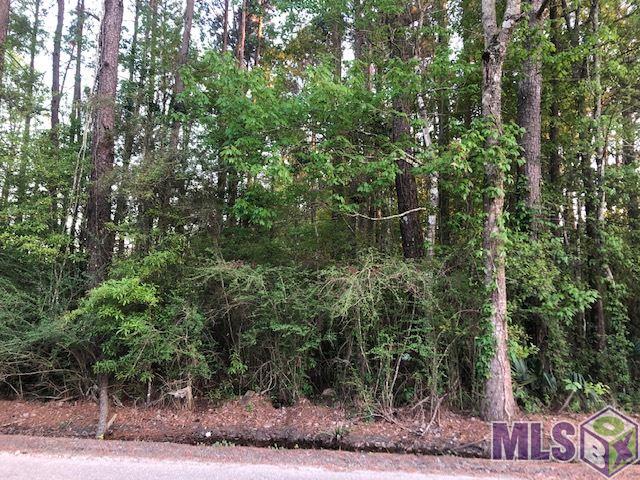 13166 Buddy Ellis Road Denham Springs, LA 70726 - Photo 2 of 2 Gallery Image 2