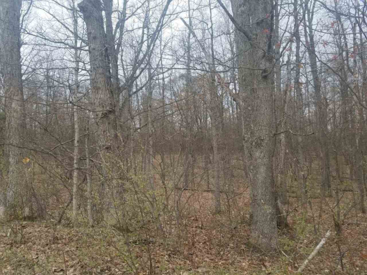 V/l East Yale Road, Unit PAR A Hesperia, MI 49421 - Photo 2 of 22 Gallery Image 2