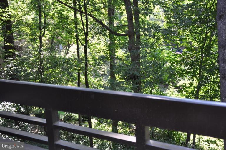 11612 Ivystone Court, Unit 5/300 Reston, VA 20191 - Photo 3 of 11 Deck - View from