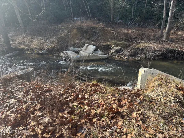 $65,000 | 0 Highway 91 Highway North, Laurel Bloomery, TN 37680