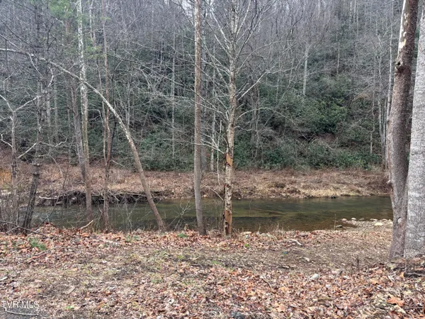 $65,000 | 0 Highway 91 Highway North, Laurel Bloomery, TN 37680