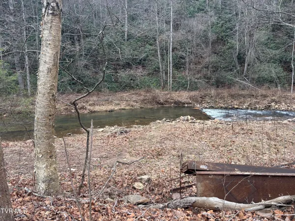 $65,000 | 0 Highway 91 Highway North, Laurel Bloomery, TN 37680