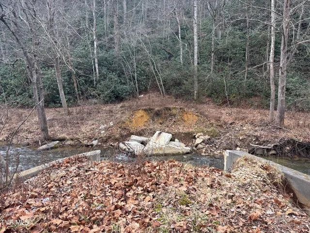 $65,000 | 0 Highway 91 Highway North, Laurel Bloomery, TN 37680