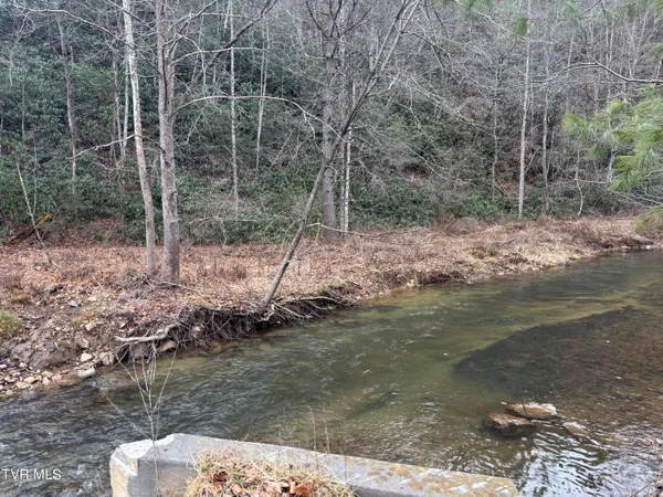 $65,000 | 0 Highway 91 Highway North, Laurel Bloomery, TN 37680