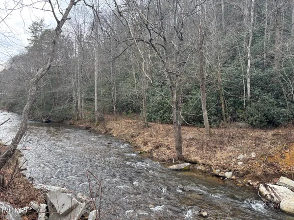 $65,000 | 0 Highway 91 Highway North, Laurel Bloomery, TN 37680