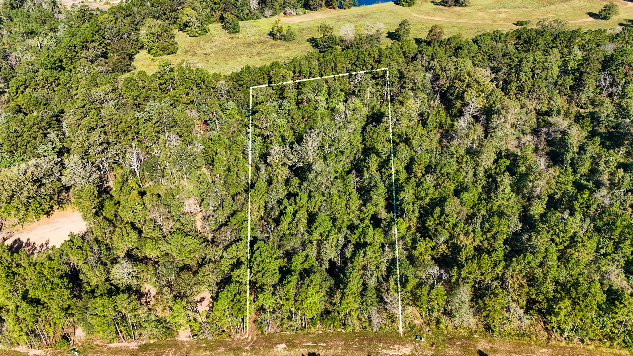 15821 Ridge Rock Road Willis, TX 77378 - Photo 10 of 21 A spacious 2.02-acre forested lot in the tranquil Republic Grand Ranch community awaits your dream home.