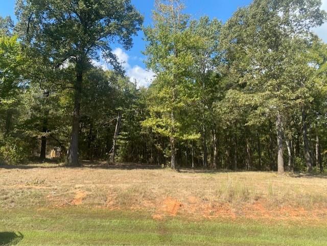 Lot 7-r-1 North Rd Leesburg Tx 75451 Road Leesburg, TX 75451 - Photo 2 of 5