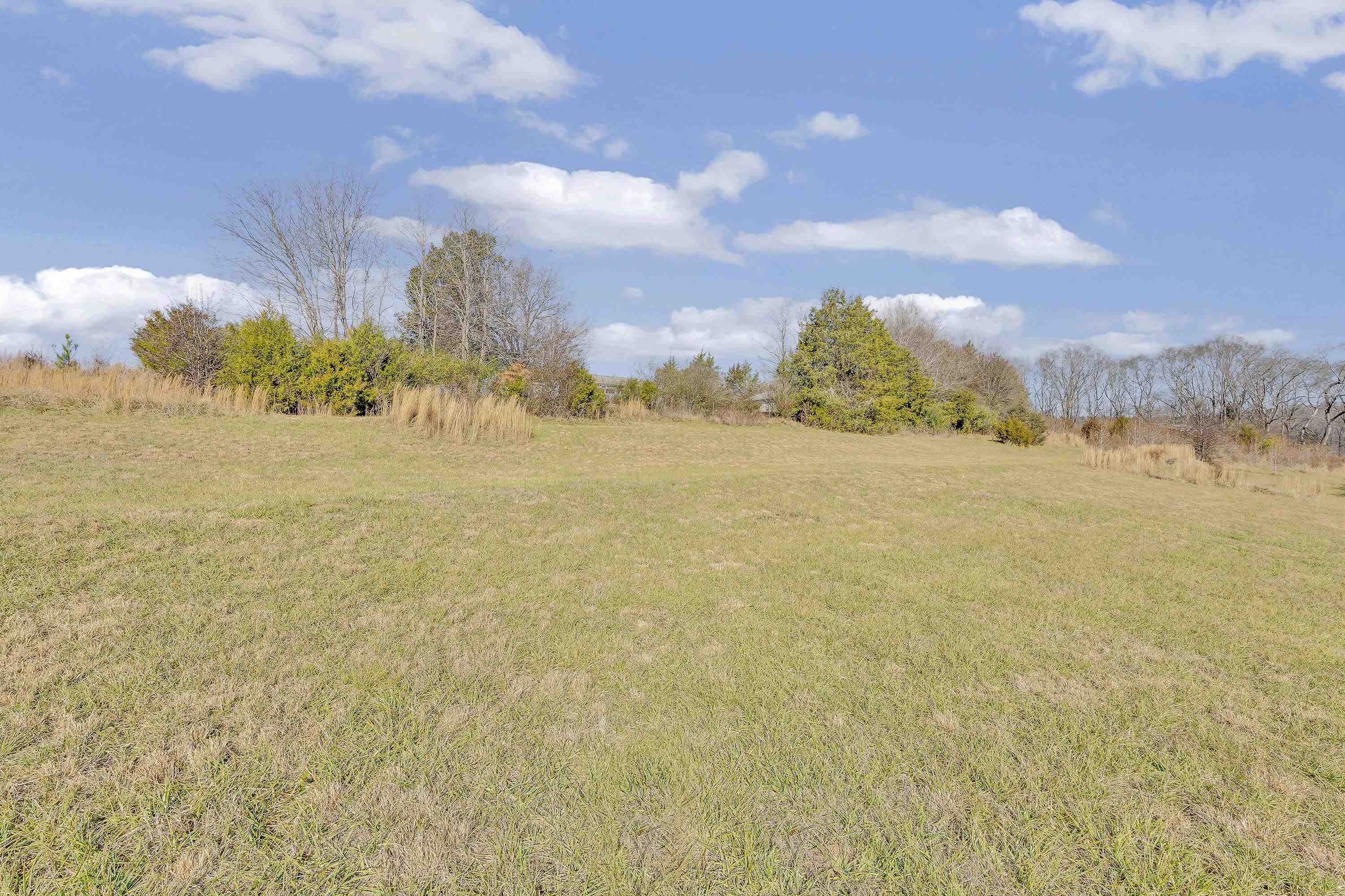 310 State Rd S-42-607 Woodruff, SC 29388 - Photo 26 of 29